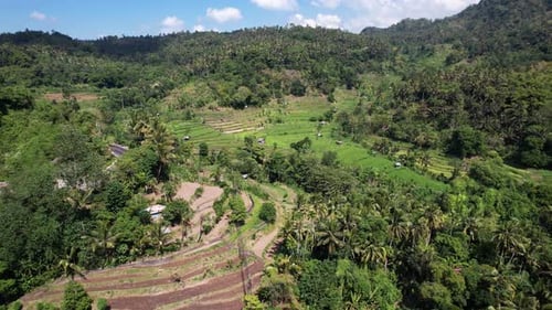 Flight over the beautiful rice fields of Bali, Indonesia, rice terraces.