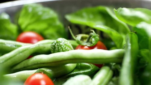 Shallow focus healthy fresh green spinach leaf cucamelon cherry tomato salad bowl closeup dolly left