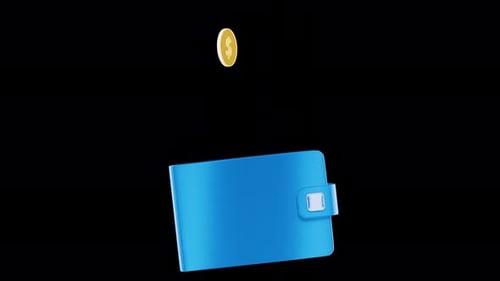 Coins fall into a wallet Animation on a transparent background. Cash back. Income. Payment. Money tr