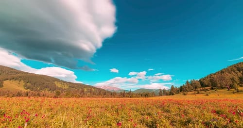 Mountain Meadow Timelapse at the Summer or Autumn Time