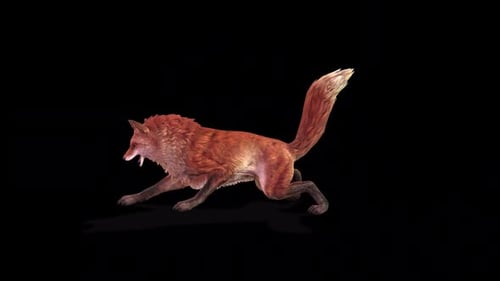 Animated 3D Fox Pouncing, Running, and Howling Loop
