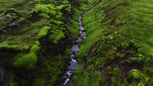 Luftaufnahme der moosigen Schlucht und des gewundenen Baches in Island