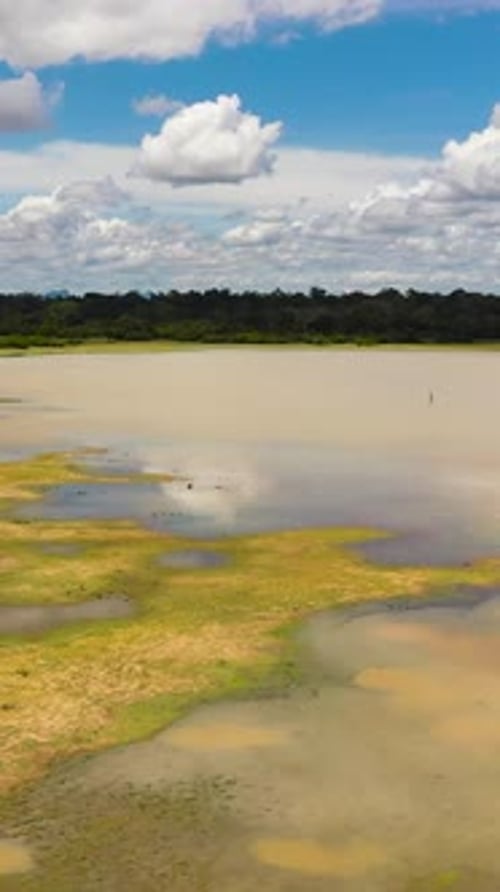Tropical Landscape with a Lake and Birds Sri Lanka