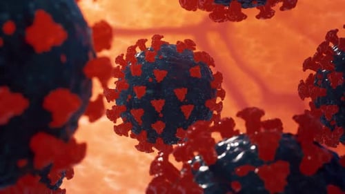 Microscopic View of Coronavirus Structure