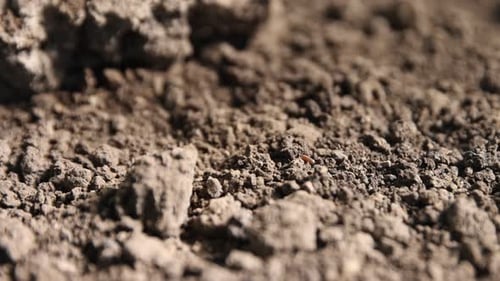 Dry dirt falling onto soil outdoors, closeup