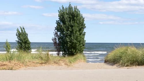 9 second view of gentle waves beyond a beach access path, then a cyclist going by from right to left