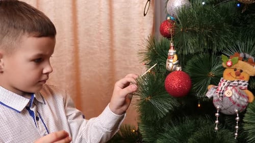Boy Decorates Christmas Tree with Festive Ornaments