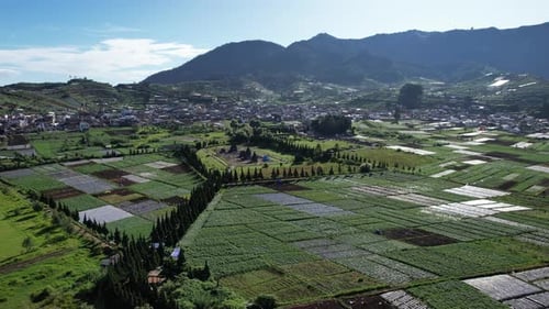 Ackerland in Dieng