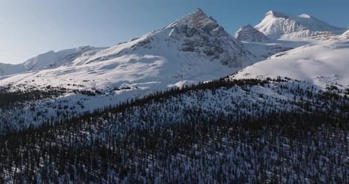 canadian rocky mountains and spruce forest covered with snow during sunny weather
