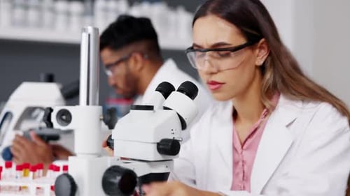 Scientists Working with Microscopes in Bright Laboratory