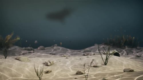 Animierter Videoeffekt unter tiefem Wasser