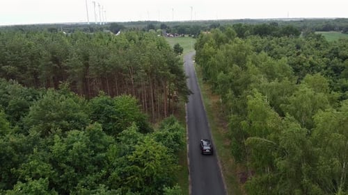 black car driving in the forest