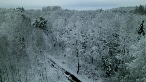 Trees Covered With Snow During Winter In Pieszkowo, Poland. - aerial
