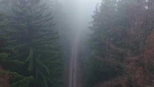 An aerial shot of a man walking alone on a wet forest path with fog and dark atmosphere after rain
