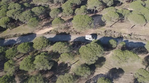 white campervan driving along a winding forest road in Huelva with sunlight casting dappled shadows
