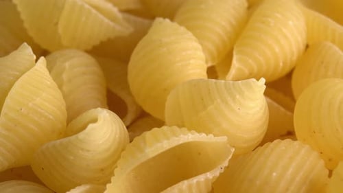Close Up of Shell Pasta