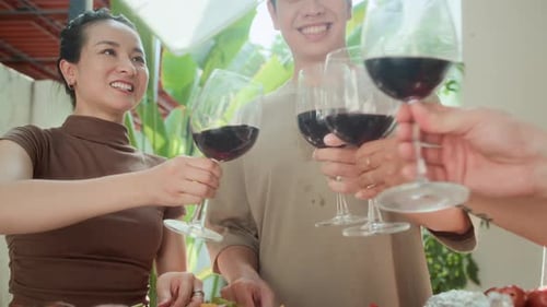 Friends Clinking Glasses during Grill Party