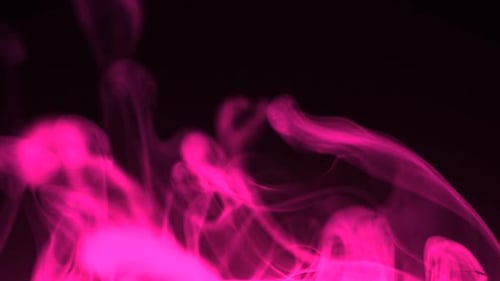 Fumaça rosa real sobre preto