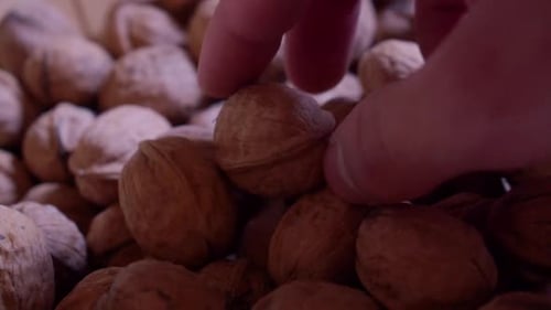 Getrocknete Walnüsse in einer Holzschale. Ich nehme ein paar Walnüsse aus der Schüssel, um sie zu essen. Nahaufnahme. Langsam