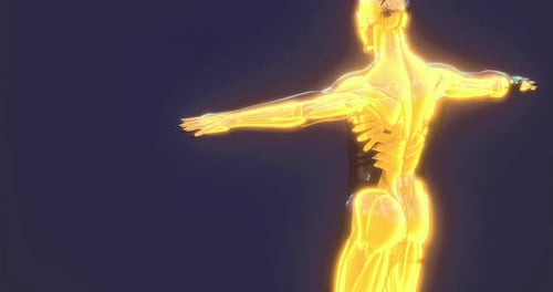 Futuristic Glowing 3D Human Anatomy Medical Science Model