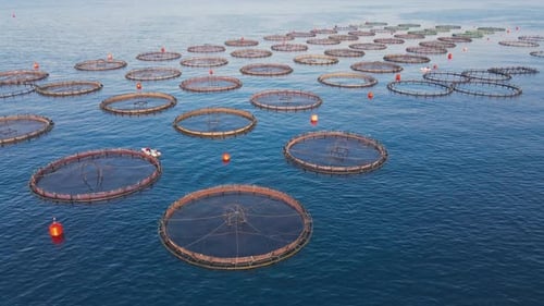 View of sea fish farm cages in open sea