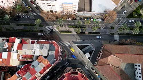 Aerial View of Urban Cityscape with Palm Trees