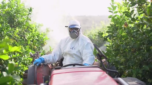 Farmer in protective clothes spray pesticides. Farm worker spray pesticide insecticide on fruit lemo
