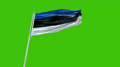 Realistic Estonia Flag Waving on Green Screen