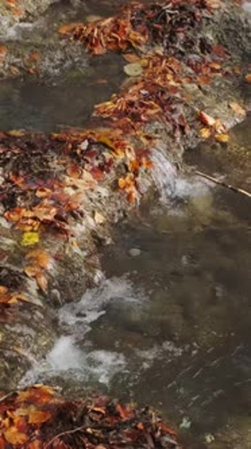 Stream flow between stones with moss
