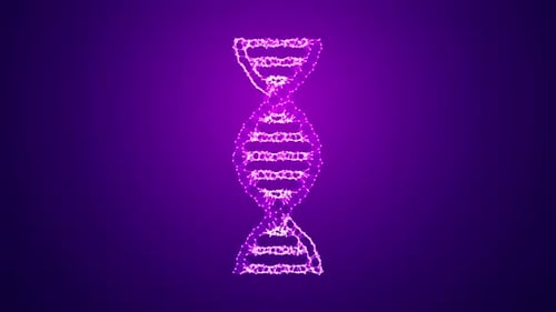 DNA Plexus Loop Violett