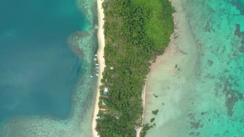Aerial View of a Tropical Island with Palm Trees and White Sand Beaches Amazing Tropical Island in