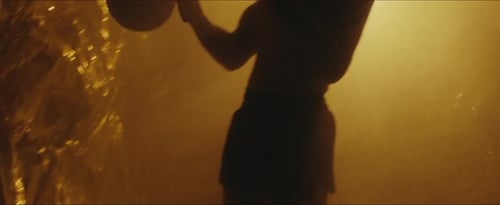 Golden Fighter