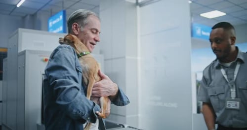 Airport Terminal Passenger with Chihuahua at Security Checkpoint Security Officer Inspecting Dog