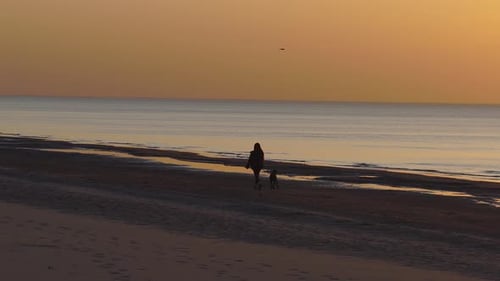 Aerial Baltic Sea Coast at Dusk Near Latvia with Pine Forest