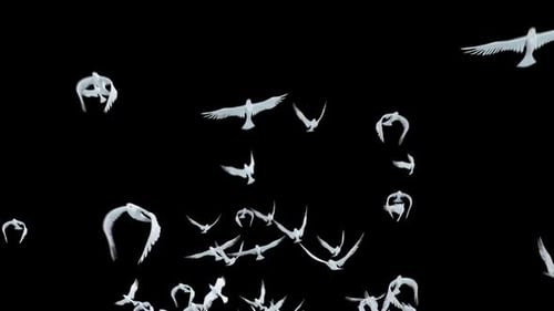 Elegante paloma blanca volando sobre un alfa transparente