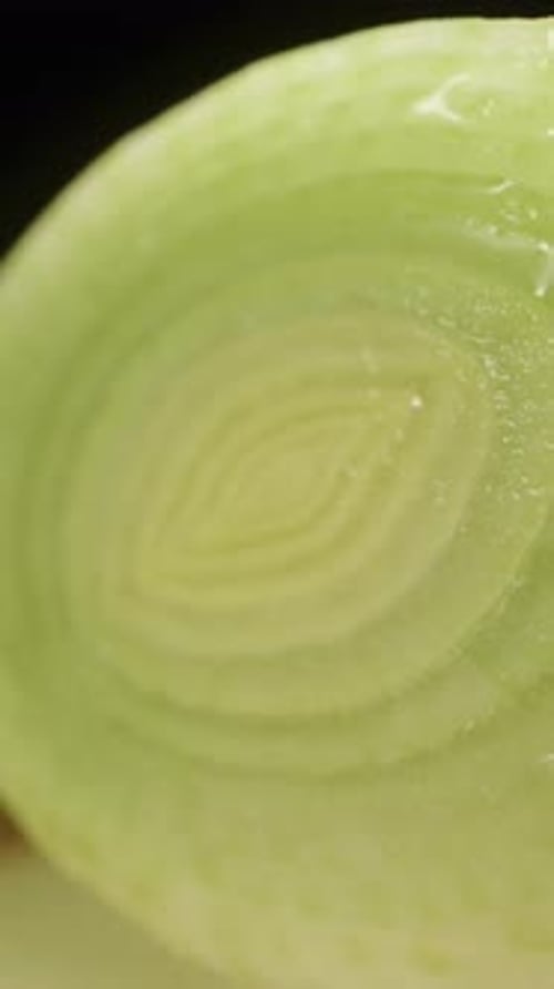 Vertical video. A cross-section of a leek, showing its layers. Macro zoom.