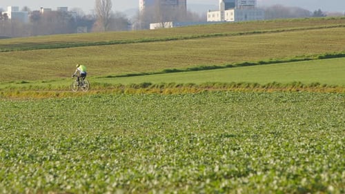 Riding Bike In A Green Field 8