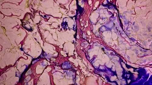 Swirling Abstract Texture of Violet, Pink, and White