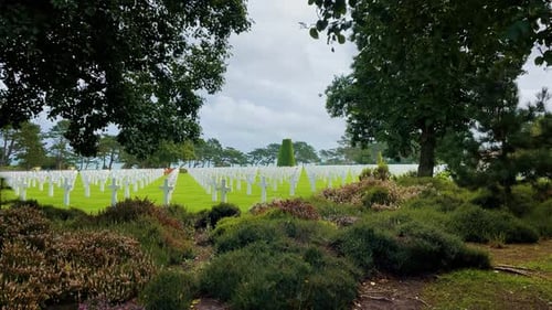 Lots of US military graves with white cross. Sourrounded by Trees. American war cemetery D-Day Soldi