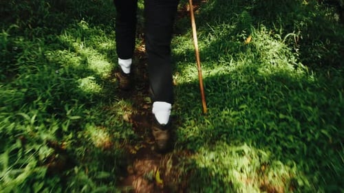 Hiker walking through forest on trail using hiking stick; POV tracking shot