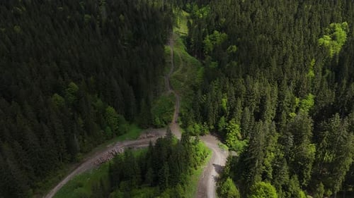 Aerial Drone View Slow Flight Over Forest Road