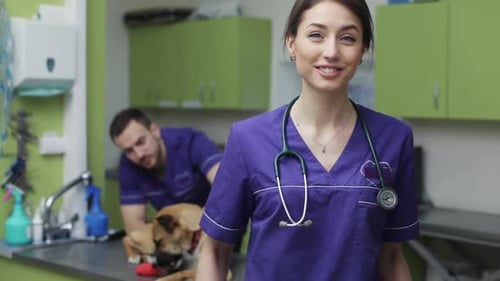 Woman Vet Look Camera Smiling Background Assistant Inspects Cute Dog in Veterinary Clinic Doctor