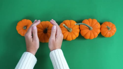 Halloween Scene on Orange Background