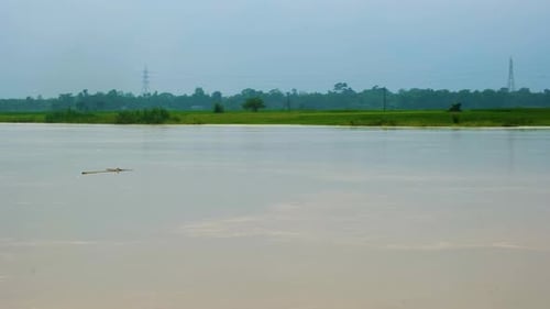 Overflowed flooded river beside farmland in rural Bangladesh. Disaster scene in South Asia. Water le