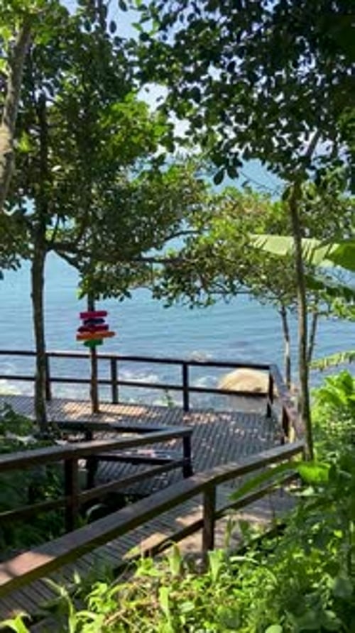 Tropical ocean view through lush green trees with colorful signposts