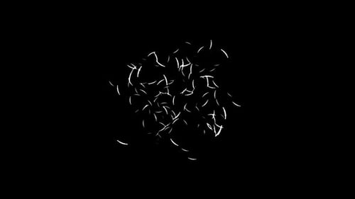 Abstract Hand Drawn Sketch Lines Burst Transition