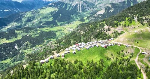 Boselta