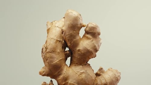 Close Up of a Ginger Root on White