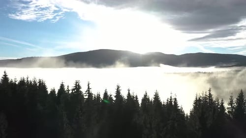 Slow Motion Flying Above Clouds. Aerial View of Sunrise, Misty Morning and Forest in the Mountains
