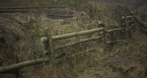 Animated Rustic Wooden Fence in Wild Overgrown Field